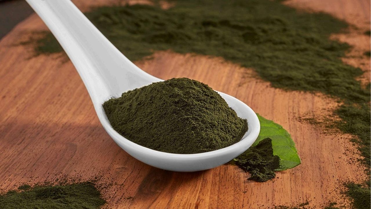 La chlorelle : une micro-algue aux bienfaits surprenants